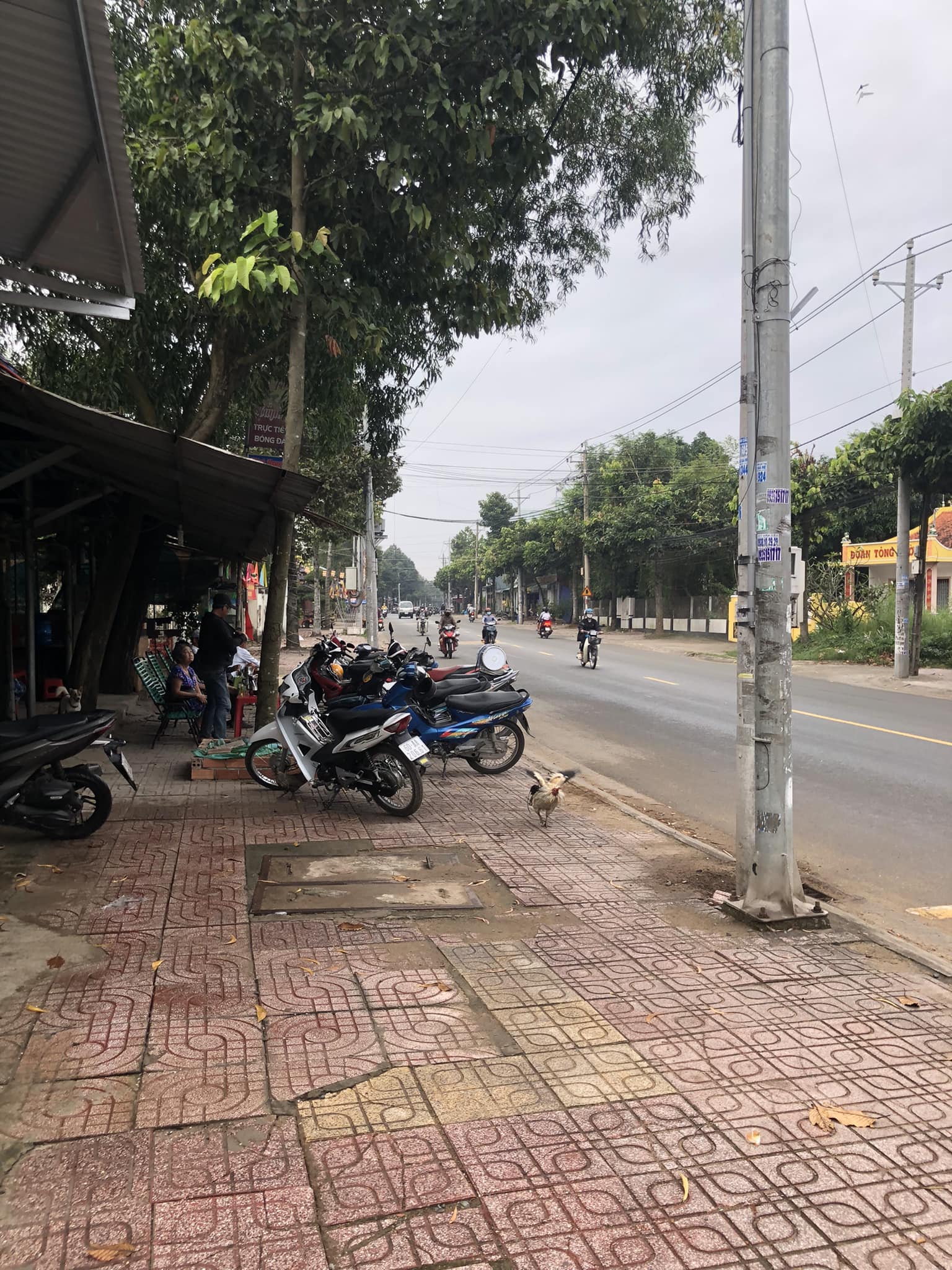 Quán Cơm Huynh Đệ 2